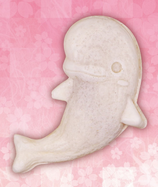 イルタン焼き 白イルカ 桜あん